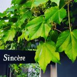 「Sincere」グルメ必見!一度は行くべき一級フレンチ!